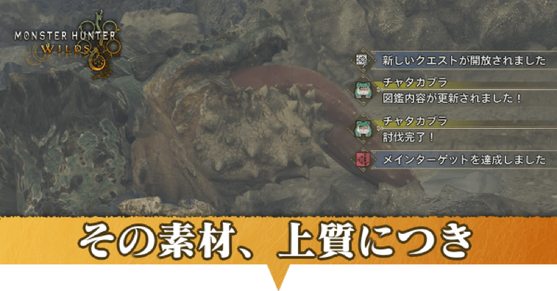その素材、上質につきの攻略