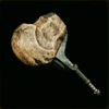MHWildsのヘヴィロックボーン画像
