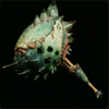 MHWildsの纏槌ハシャハトゥリ画像