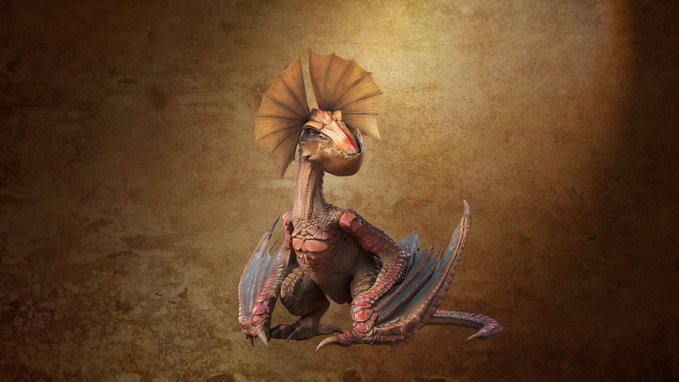 イャンクック画像