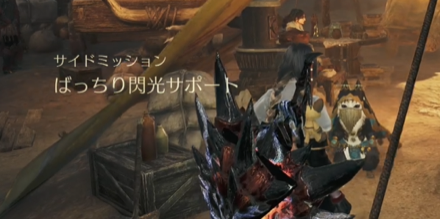 ばっちり閃光サポート