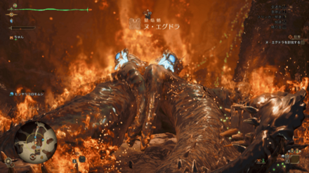 ヌエグドラを討伐する