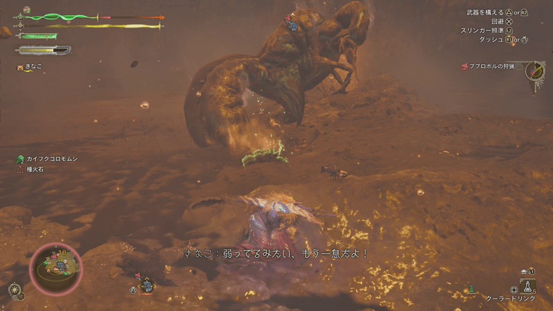 クーラードリンク