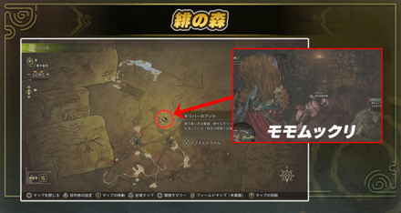 モモムックリ　モリバーのアジト