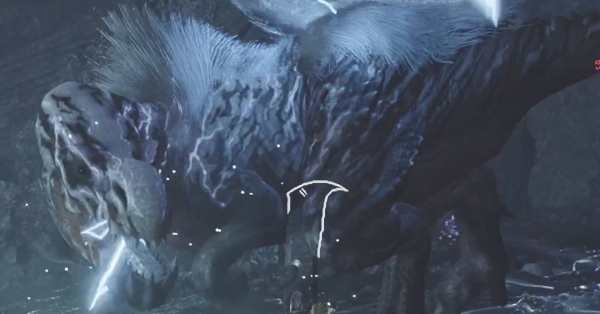 護竜アンジャナフ亜種画像