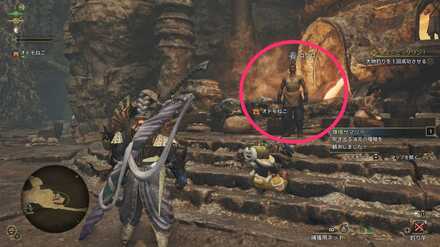 ロクロの見た目