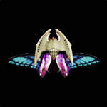 レジナヴォランテ画像