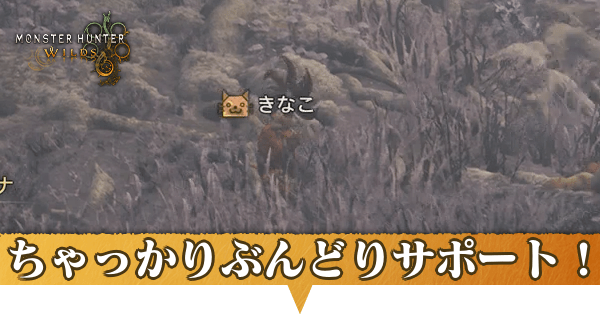 ちゃっかりぶんどりサポート！の攻略