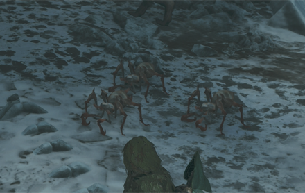 ネルスキュラベビー