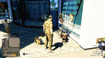 チョコの見た目