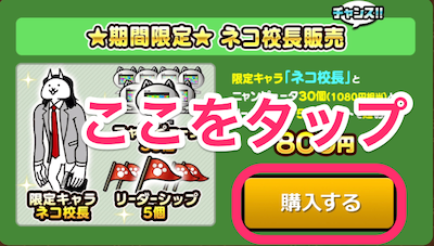 購入するをタップ