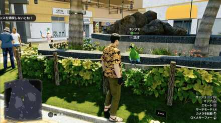 キングKの見た目