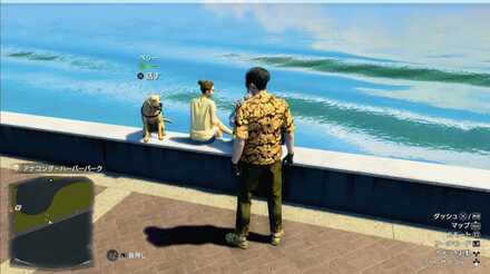 ベリーの見た目