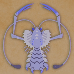 オカホタルエビ画像