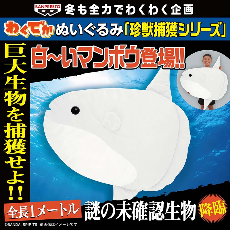 ニュースアイコン