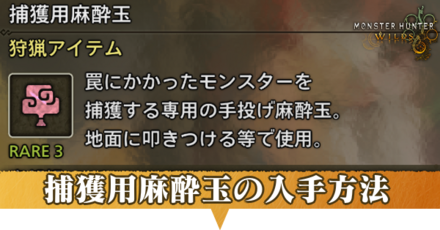 麻酔玉アイキャッチ