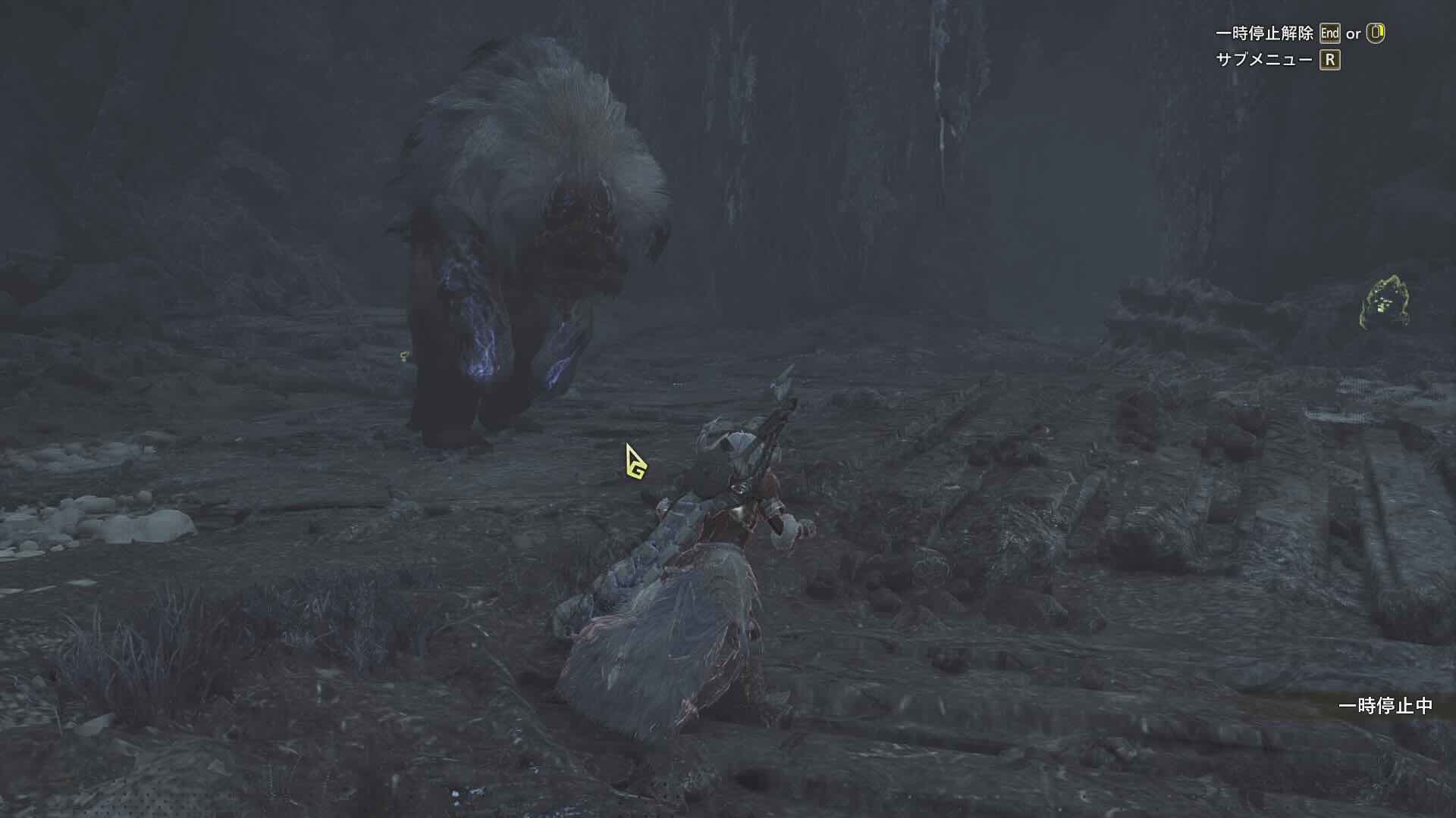 竜都の跡にのみ出現