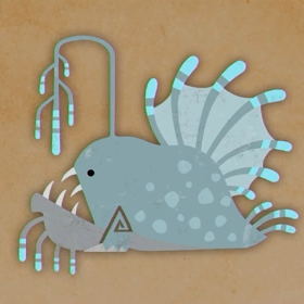 マタタキウオ画像