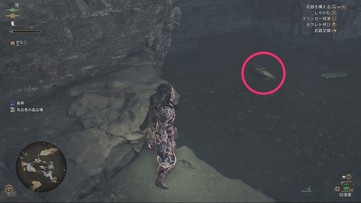 黄金魚の見た目