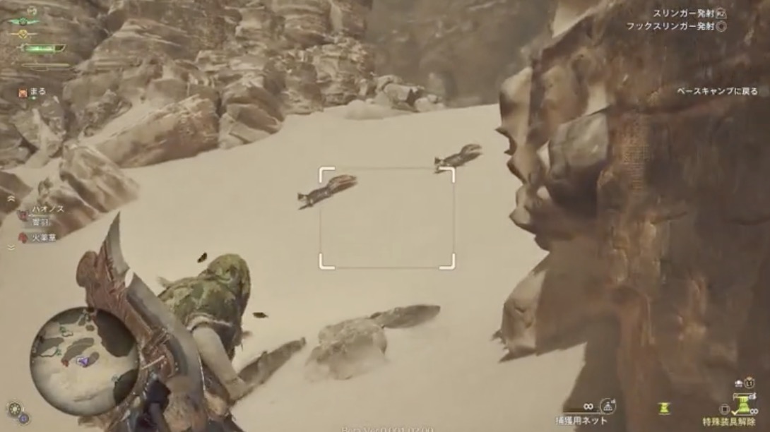 アシアトノコシの見た目