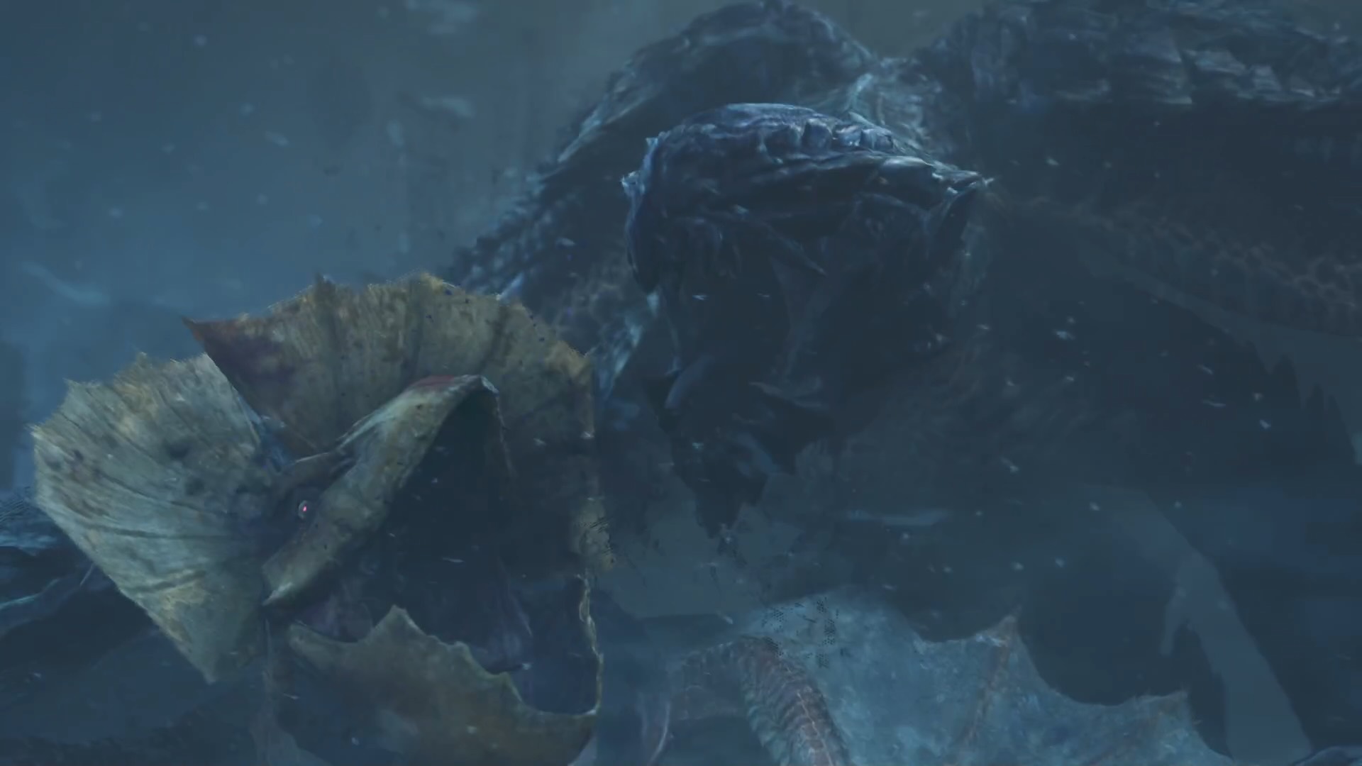 ゴアマガラから感染