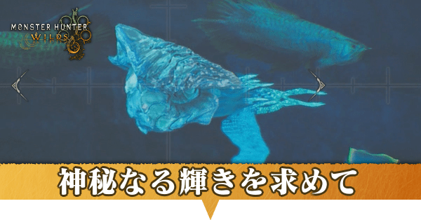 神秘なる輝きを求めての攻略