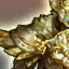 セイクリッド アーマー マスタリー