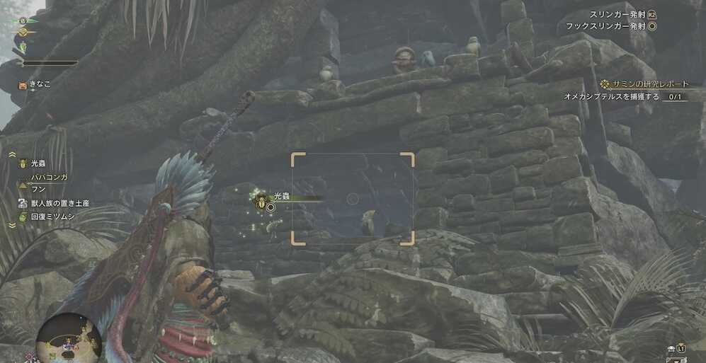 オメカシプテルスの場所