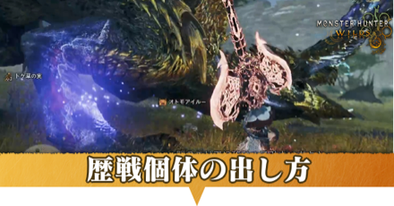 歴戦個体の出し方アイキャッチ