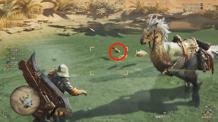 コモチアミアの見た目