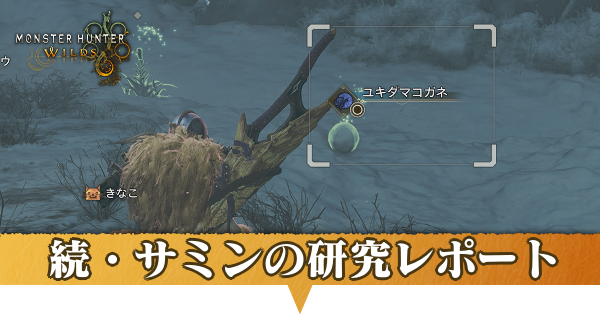 続・サミンの研究レポートの攻略