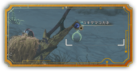 続・サミンの研究レポート