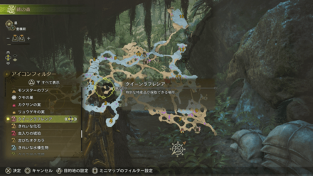 クイーンラフレシア