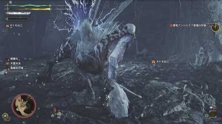 護竜アンジャナフ亜種