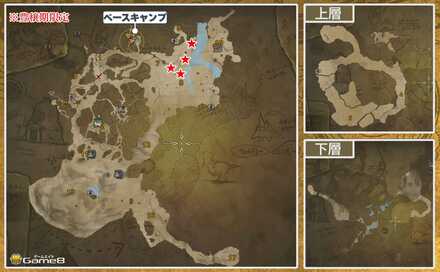 上質な沙胡椒の実