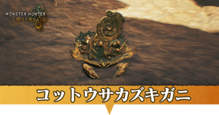 コットウサカズキガニはどこにいる?捕獲方法