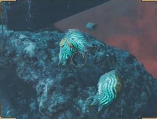 ヌ・ヤヤの効果と使い方