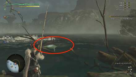 ダイオウカジキの効果と使い方