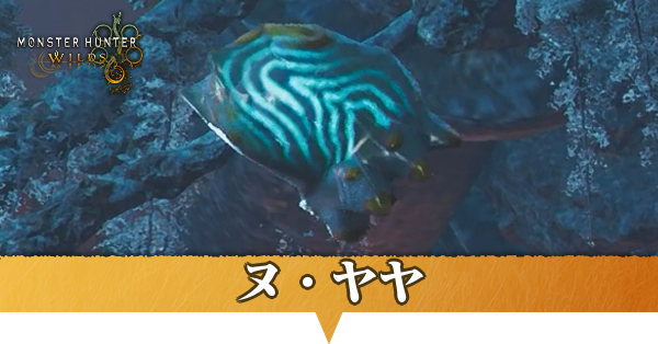 ヌ・ヤヤはどこにいる？捕獲方法