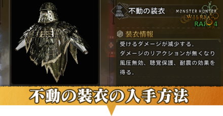 不動の装衣アイキャッチ