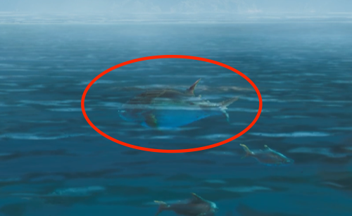 大食いマグロ画像