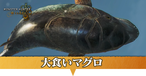 大食いマグロはどこにいる？捕獲方法