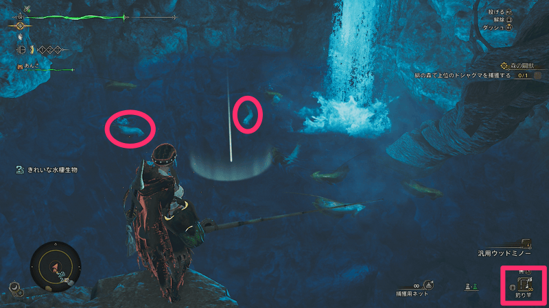 釣り竿を使って釣る