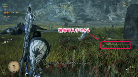 フィールド採取