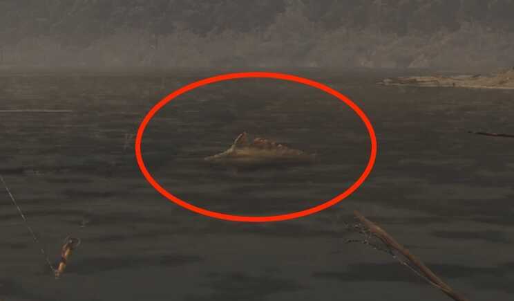 ガライーバ画像