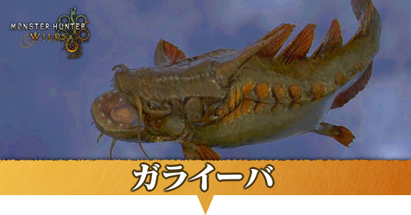 ガライーバはどこにいる？捕獲方法