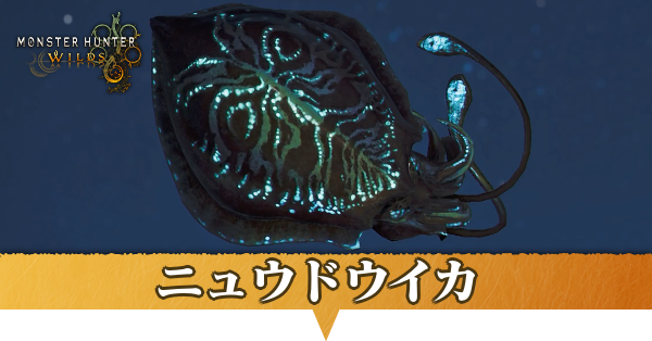 ニュウドウイカはどこにいる？捕獲方法