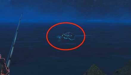 ニュウドウイカ画像