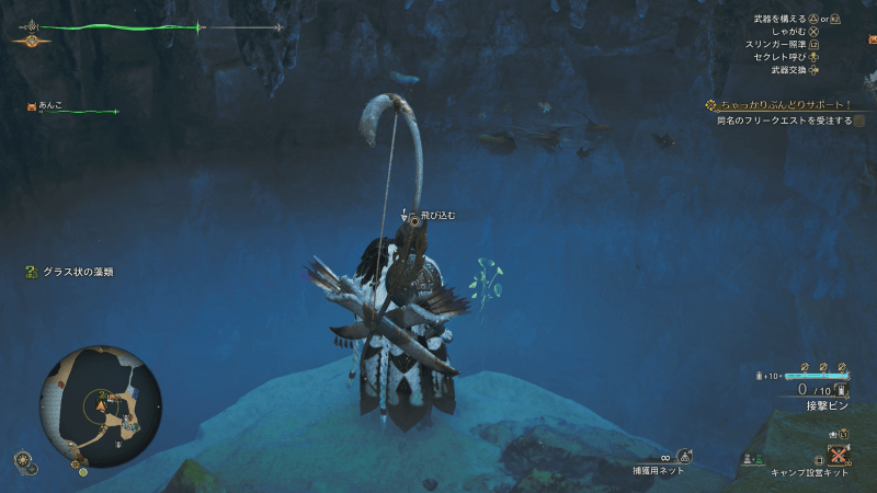 小金魚のおすすめ釣り場