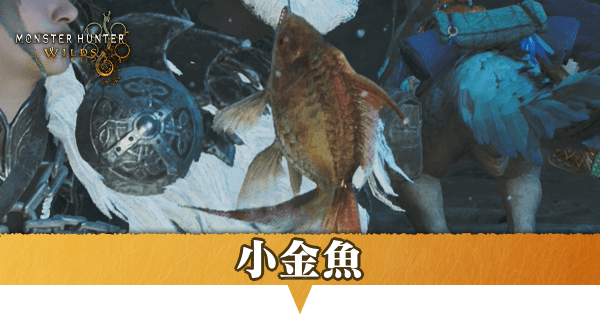 小金魚はどこにいる？捕獲方法